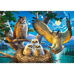 Castorland (B-53322) - "Owl Family" - 500 piezas