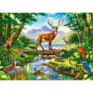 Castorland (B-030408) - "Woodland Harmony" - 300 piezas