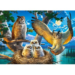 Castorland (B-018437) - "Owl Family" - 180 piezas