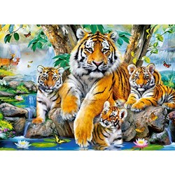 Castorland (B-13517) - "Tigers by the Stream" - 120 piezas