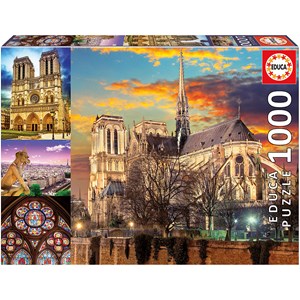 Educa (18456) - "Notre Dame Collage" - 1000 piezas