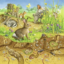 Ravensburger (08050) - "Animals in their Habitats" - 49 piezas