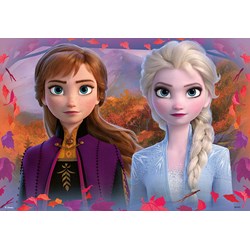 Ravensburger (05009) - "Frozen II" - 12 piezas