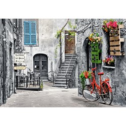 Castorland (B-53339) - "Charming Alley with Red Bicycle" - 500 piezas