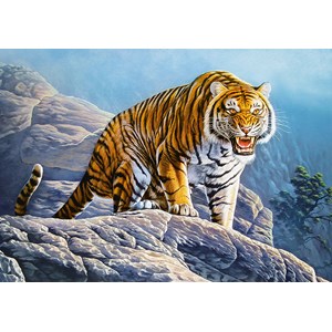 Castorland (B-53346) - "Tiger on the Rocks" - 500 piezas
