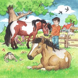 Ravensburger (09351) - "My Favorite Animals" - 49 piezas