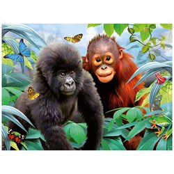 King International (05327) - "Animal World" - 12 24 36 50 piezas