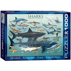 Eurographics (6000-0079) - "Sharks" - 1000 piezas