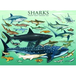 Eurographics (6000-0079) - "Sharks" - 1000 piezas