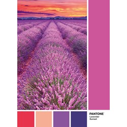 Clementoni (39493) - "Lavender sunset" - 1000 piezas