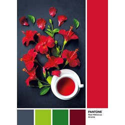 Clementoni (39494) - "Red Hibiscus Aroma" - 1000 piezas