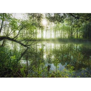 Schmidt Spiele (59670) - Stefan Hefele: "Homeland Jungle" - 1000 piezas