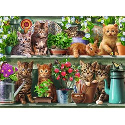 Ravensburger (14824) - "Cats on the Shelf" - 500 piezas