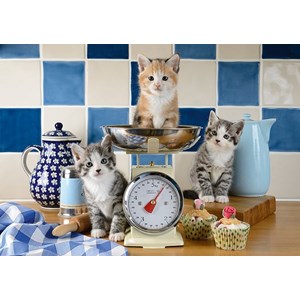 Schmidt Spiele (58370) - "Cats in the Kitchen" - 500 piezas