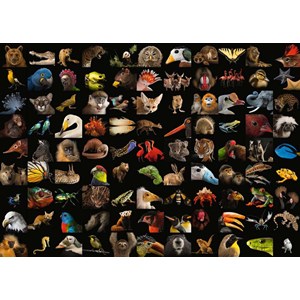 Ravensburger (15983) - "99 Stunning Animals" - 1000 piezas