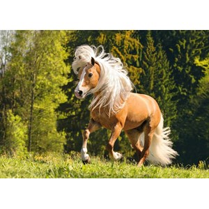 Ravensburger (15009) - "Horse" - 1000 piezas