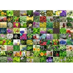 Ravensburger (15991) - "99 Herbs and Spices" - 1000 piezas