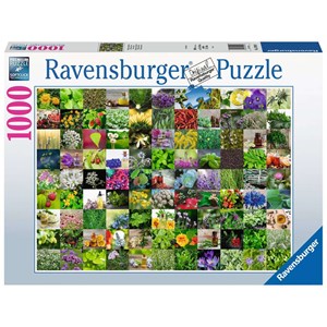 Ravensburger (15991) - "99 Herbs and Spices" - 1000 piezas