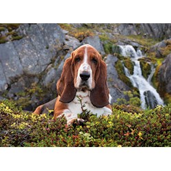 Clementoni (39511) - "Charlie Brown" - 1000 piezas