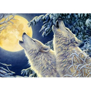 Bluebird Puzzle (70071) - "Moonlight" - 1000 piezas