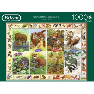 Falcon (11200) - Sarah Adams: "Seasonal Wildlife" - 1000 piezas