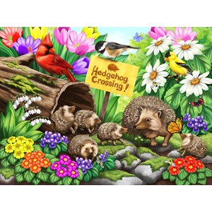 SunsOut (63090) - "Hedgehog Crossing" - 1000 piezas