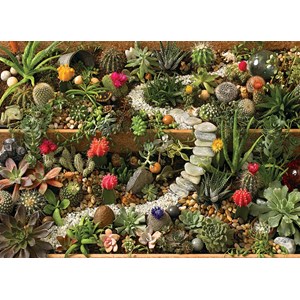 Cobble Hill (80157) - "Succulent Garden" - 1000 piezas