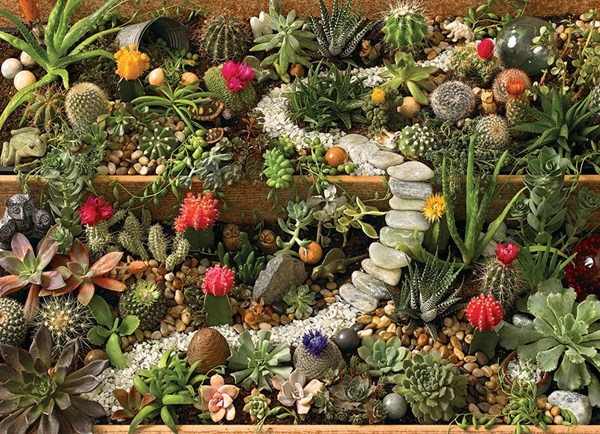 Cobble Hill (80157) - "Succulent Garden" - 1000 piezas
