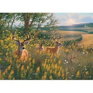 Cobble Hill (80092) - "Summer Deer" - 1000 piezas