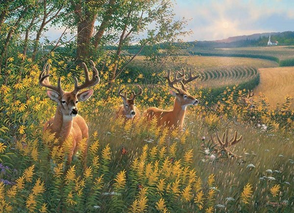 Cobble Hill (80092) - "Summer Deer" - 1000 piezas