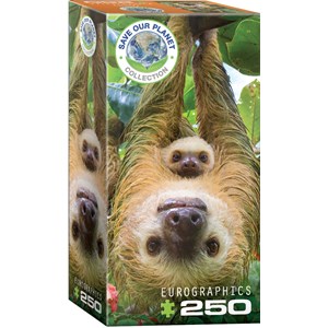 Eurographics (8251-5556) - "Sloths" - 250 piezas