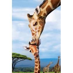 Eurographics (8251-0294) - "Giraffes" - 250 piezas