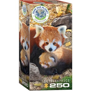 Eurographics (8251-5557) - "Red Pandas" - 250 piezas