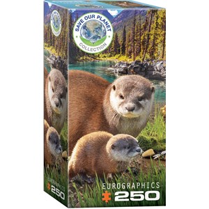 Eurographics (8251-5558) - "Otters" - 250 piezas