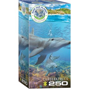 Eurographics (8251-5560) - "Dolphins" - 250 piezas