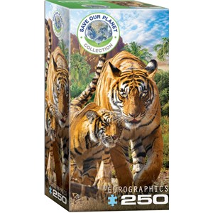 Eurographics (8251-5559) - "Tigers" - 250 piezas