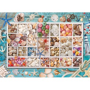 Eurographics (6000-5529) - "Seashell Collection" - 1000 piezas