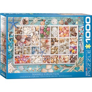 Eurographics (6000-5529) - "Seashell Collection" - 1000 piezas