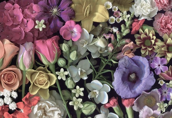 Cloudberries (33006) - "Flowers" - 1000 piezas