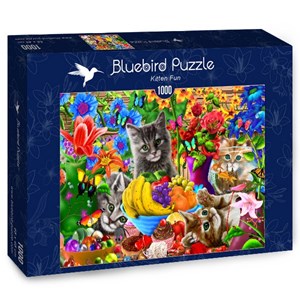 Bluebird Puzzle (70183) - "Kitten Fun" - 1000 piezas