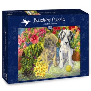Bluebird Puzzle (70068) - "Double Trouble" - 1000 piezas