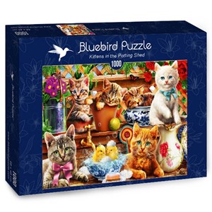 Bluebird Puzzle (70241) - Adrian Chesterman: "Kittens in the Potting Shed" - 1000 piezas