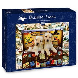 Bluebird Puzzle (70237) - "Two Travel Puppies" - 1000 piezas