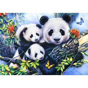 Bluebird Puzzle (70079) - "Panda Family" - 1000 piezas