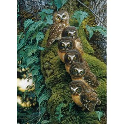 Cobble Hill (80018) - "Family Tree" - 1000 piezas