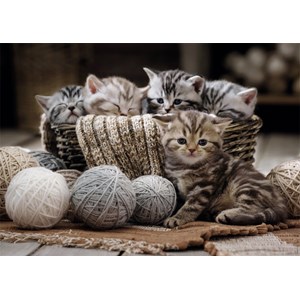 Nathan (877904) - "Kittens" - 1500 piezas