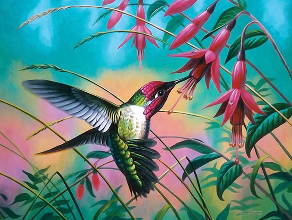 SunsOut (70941) - Cynthie Fisher: "Hummingbird Haven" - 500 piezas