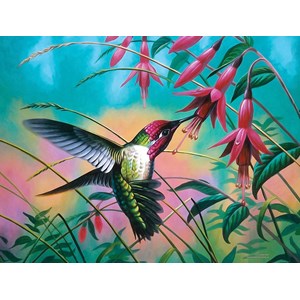 SunsOut (70941) - Cynthie Fisher: "Hummingbird Haven" - 500 piezas