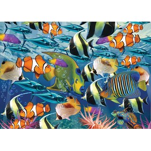 Art Puzzle (4270) - "Multi Fish" - 260 piezas