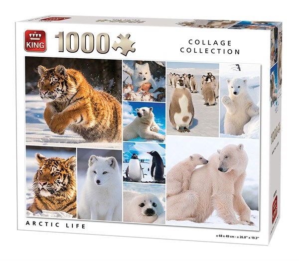 King International (55870) - "Arctic Life" - 1000 piezas